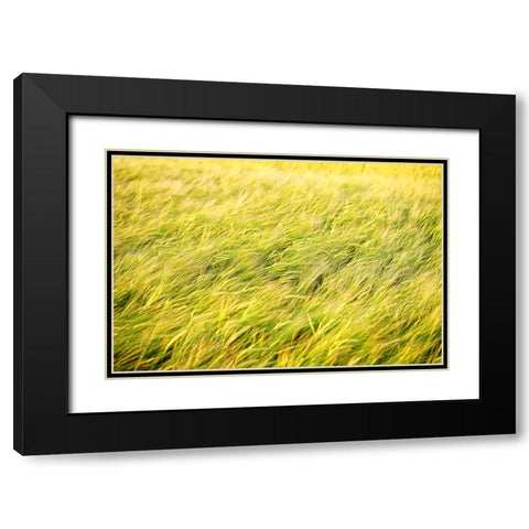 Field 8 Black Modern Wood Framed Art Print with Double Matting by Lee, Rachel