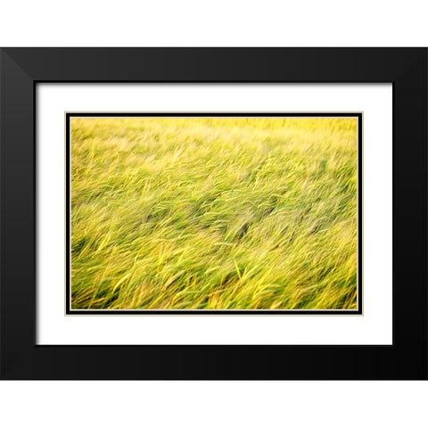 Field 8 Black Modern Wood Framed Art Print with Double Matting by Lee, Rachel