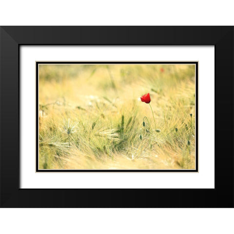 Field 9 Black Modern Wood Framed Art Print with Double Matting by Lee, Rachel