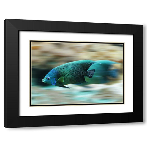 Fish Black Modern Wood Framed Art Print with Double Matting by Lee, Rachel
