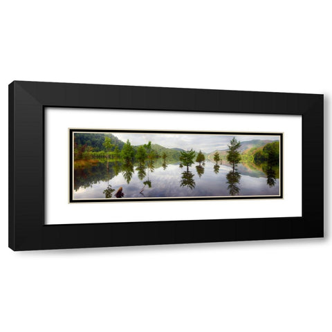 Floating Trees Black Modern Wood Framed Art Print with Double Matting by Lee, Rachel