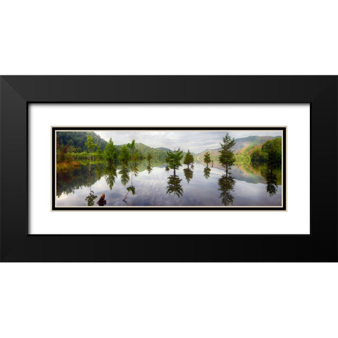 Floating Trees Black Modern Wood Framed Art Print with Double Matting by Lee, Rachel