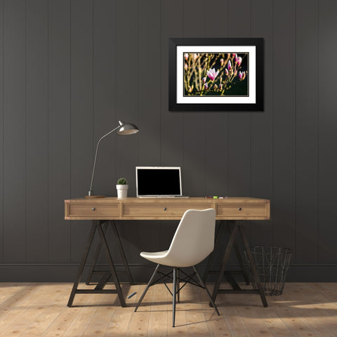 Flower 4 Black Modern Wood Framed Art Print with Double Matting by Lee, Rachel