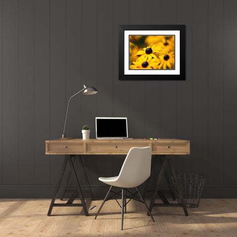 Flower 46 Black Modern Wood Framed Art Print with Double Matting by Lee, Rachel