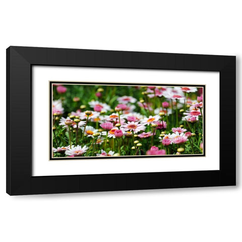 Flower 48 Black Modern Wood Framed Art Print with Double Matting by Lee, Rachel