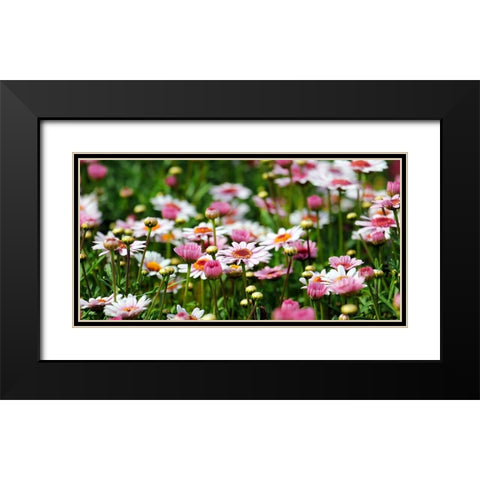 Flower 48 Black Modern Wood Framed Art Print with Double Matting by Lee, Rachel