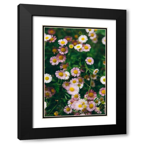 Flower 53 Black Modern Wood Framed Art Print with Double Matting by Lee, Rachel