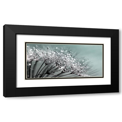 Flower 55 Grayscale Black Modern Wood Framed Art Print with Double Matting by Lee, Rachel