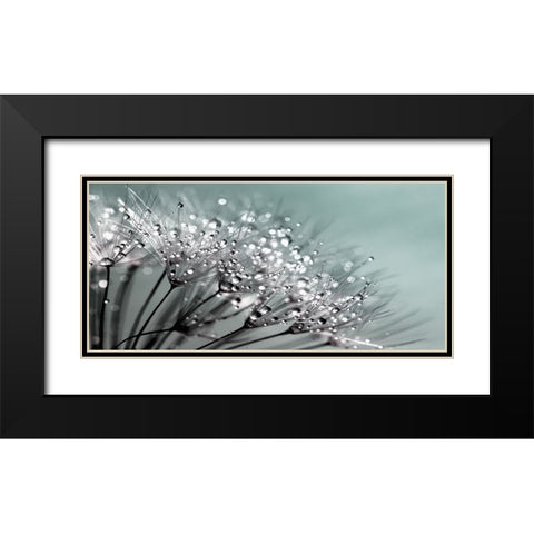 Flower 55 Grayscale Black Modern Wood Framed Art Print with Double Matting by Lee, Rachel