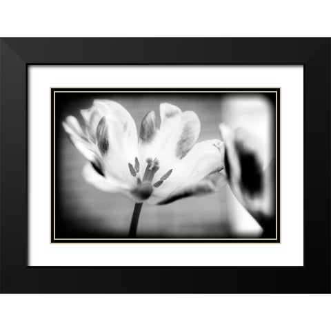 Flower Pink BW Holga Black Modern Wood Framed Art Print with Double Matting by Lee, Rachel