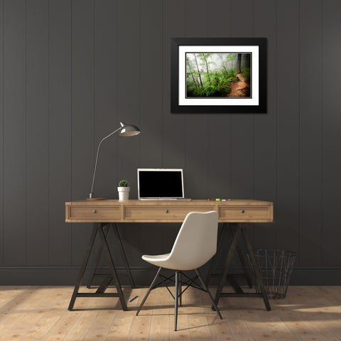 Foggy Forest Path Black Modern Wood Framed Art Print with Double Matting by Lee, Rachel
