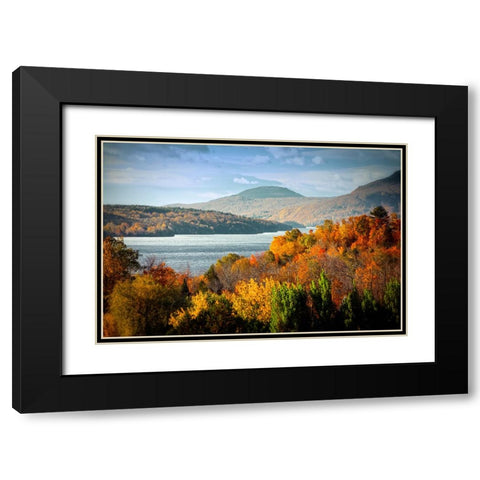 Forest Lake Black Modern Wood Framed Art Print with Double Matting by Lee, Rachel