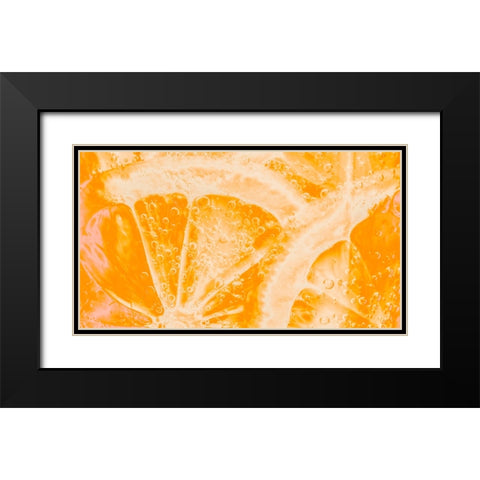 Fruit 1 Black Modern Wood Framed Art Print with Double Matting by Lee, Rachel