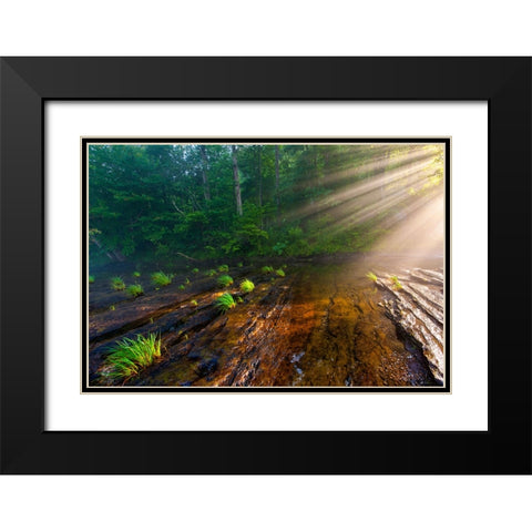 Hiwassee Morning Rays Black Modern Wood Framed Art Print with Double Matting by Lee, Rachel