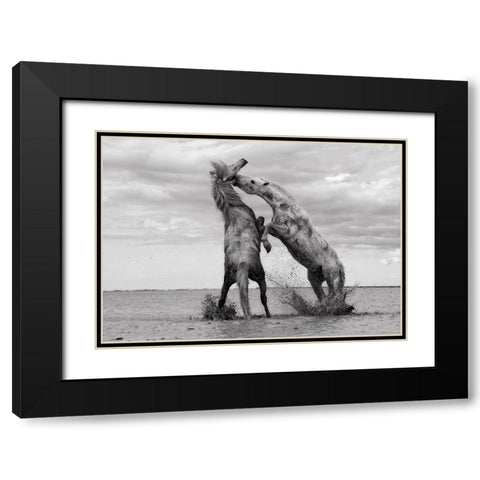 Horse 1 Black Modern Wood Framed Art Print with Double Matting by Lee, Rachel