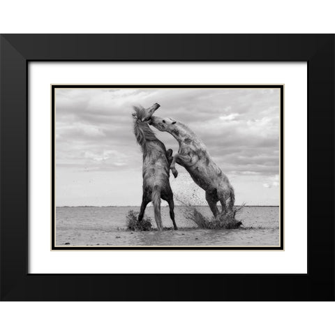 Horse 1 Black Modern Wood Framed Art Print with Double Matting by Lee, Rachel