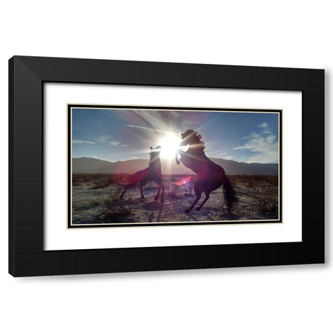 Horse 3 Black Modern Wood Framed Art Print with Double Matting by Lee, Rachel