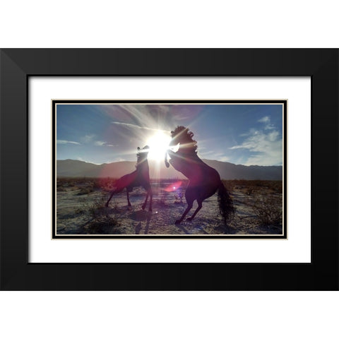 Horse 3 Black Modern Wood Framed Art Print with Double Matting by Lee, Rachel