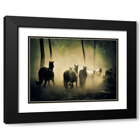 Horse 4 Black Modern Wood Framed Art Print with Double Matting by Lee, Rachel