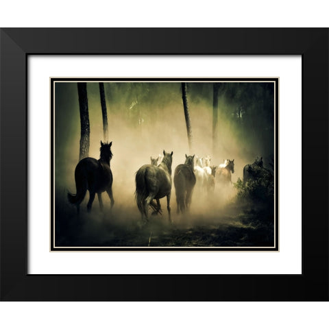 Horse 4 Black Modern Wood Framed Art Print with Double Matting by Lee, Rachel