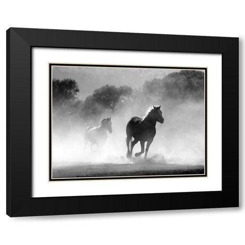 Horse 6 Black Modern Wood Framed Art Print with Double Matting by Lee, Rachel