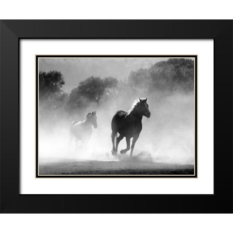 Horse 6 Black Modern Wood Framed Art Print with Double Matting by Lee, Rachel