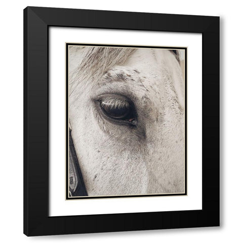 Horse 7 Black Modern Wood Framed Art Print with Double Matting by Lee, Rachel