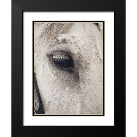 Horse 7 Black Modern Wood Framed Art Print with Double Matting by Lee, Rachel