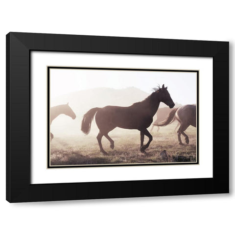Horse 11 Black Modern Wood Framed Art Print with Double Matting by Lee, Rachel