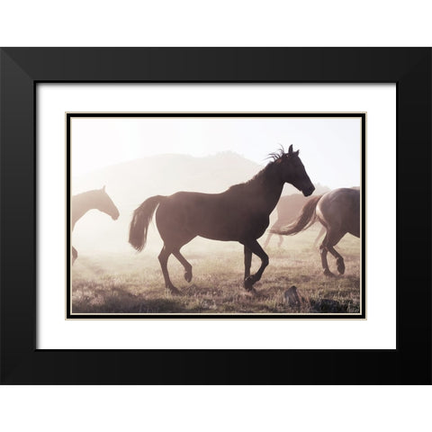 Horse 11 Black Modern Wood Framed Art Print with Double Matting by Lee, Rachel