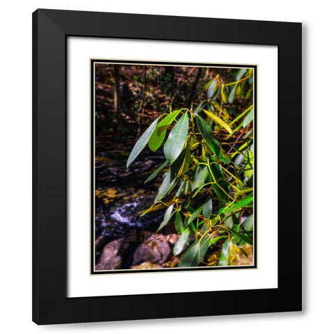 Leaves 18 Black Modern Wood Framed Art Print with Double Matting by Lee, Rachel