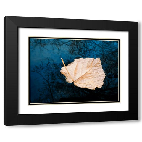 Leaves 3 Black Modern Wood Framed Art Print with Double Matting by Lee, Rachel
