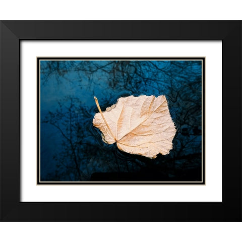 Leaves 3 Black Modern Wood Framed Art Print with Double Matting by Lee, Rachel