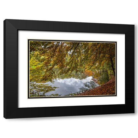 Mountain Lake 12 Black Modern Wood Framed Art Print with Double Matting by Lee, Rachel