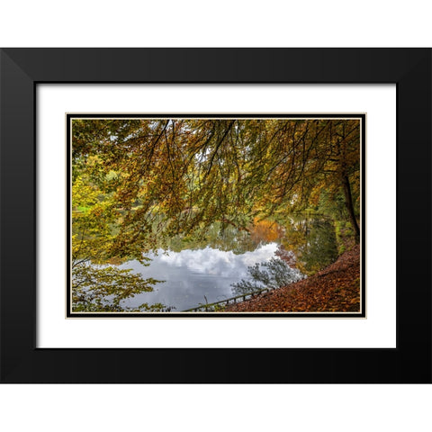 Mountain Lake 12 Black Modern Wood Framed Art Print with Double Matting by Lee, Rachel