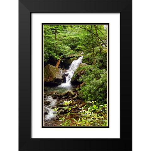 Mountain Laurel and Falls Black Modern Wood Framed Art Print with Double Matting by Lee, Rachel