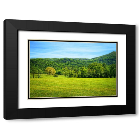 Mountain View 25 Black Modern Wood Framed Art Print with Double Matting by Lee, Rachel