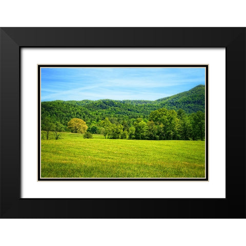 Mountain View 25 Black Modern Wood Framed Art Print with Double Matting by Lee, Rachel
