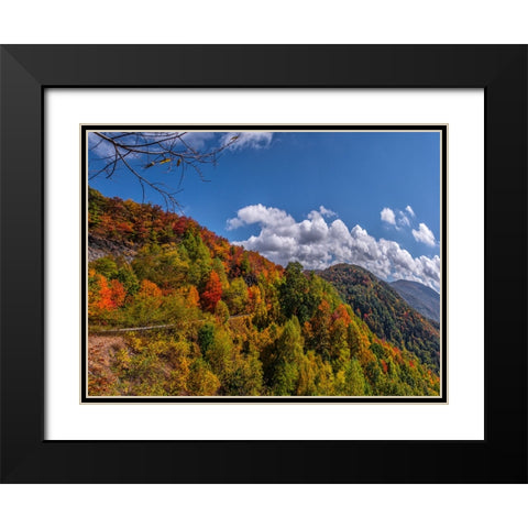NC Fall Mountains 6 Black Modern Wood Framed Art Print with Double Matting by Lee, Rachel