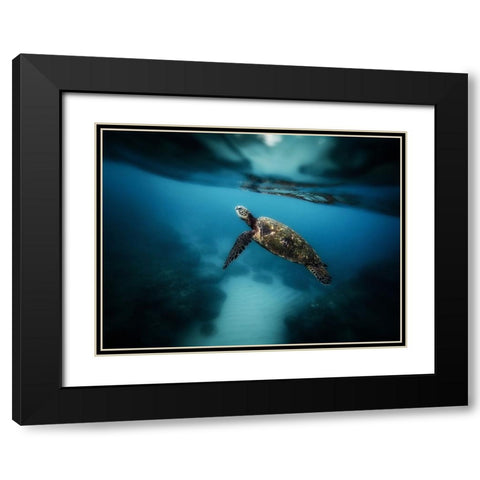 Ocean 42 Black Modern Wood Framed Art Print with Double Matting by Lee, Rachel