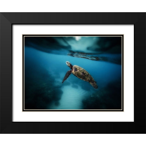 Ocean 42 Black Modern Wood Framed Art Print with Double Matting by Lee, Rachel
