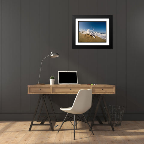 Ocean 48 Black Modern Wood Framed Art Print with Double Matting by Lee, Rachel