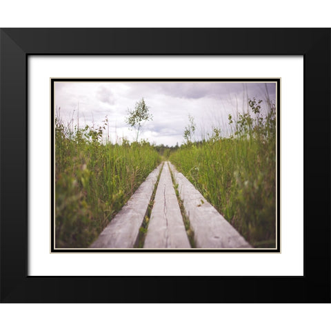Pathway 2 Black Modern Wood Framed Art Print with Double Matting by Lee, Rachel