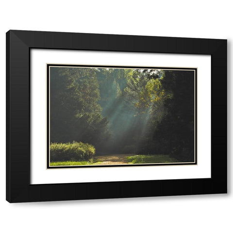 Pathway 4 Black Modern Wood Framed Art Print with Double Matting by Lee, Rachel