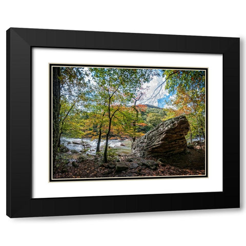 Pocket Wilderness 2 Black Modern Wood Framed Art Print with Double Matting by Lee, Rachel