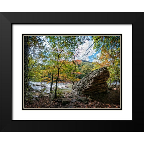Pocket Wilderness 2 Black Modern Wood Framed Art Print with Double Matting by Lee, Rachel