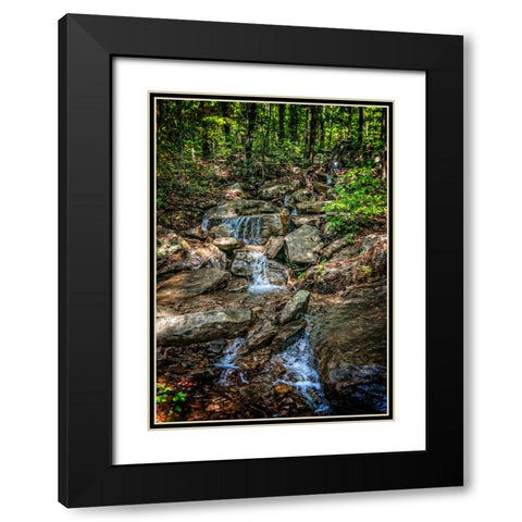 Pocket Wilderness 3 Black Modern Wood Framed Art Print with Double Matting by Lee, Rachel