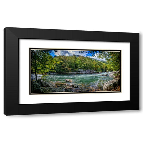 Pocket Wilderness 4 Black Modern Wood Framed Art Print with Double Matting by Lee, Rachel