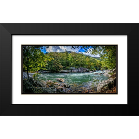 Pocket Wilderness 4 Black Modern Wood Framed Art Print with Double Matting by Lee, Rachel