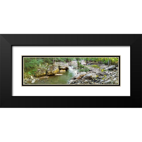 Pocket Wilderness Dayton 3 Black Modern Wood Framed Art Print with Double Matting by Lee, Rachel